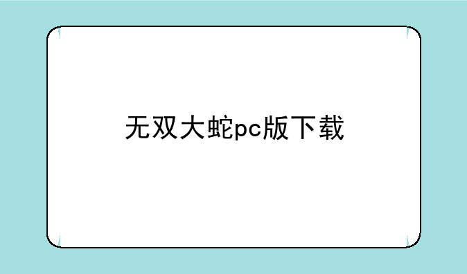 无双大蛇pc版下载