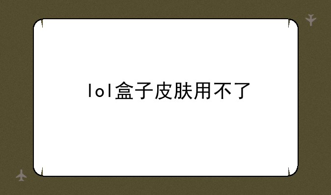 lol盒子皮肤用不了