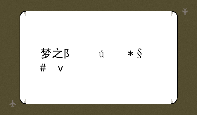 梦之队辅助守着他