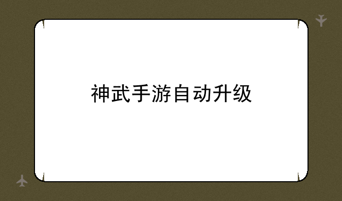 神武手游自动升级