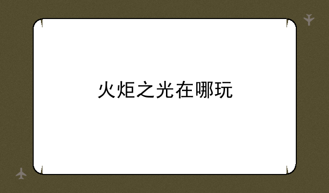 火炬之光在哪玩