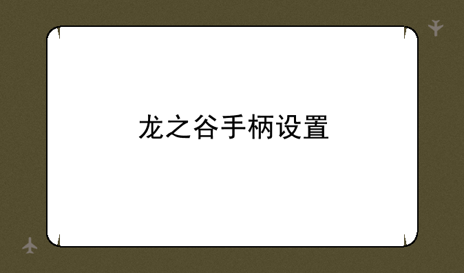 龙之谷手柄设置