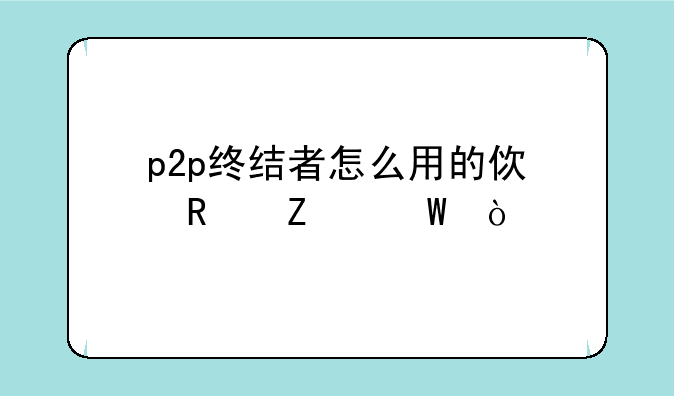 p2p终结者怎么用的使用方法？