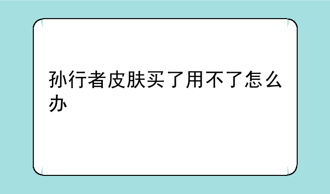 孙行者皮肤买了用不了怎么办