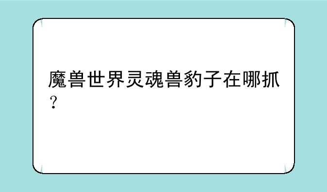 魔兽世界灵魂兽豹子在哪抓？