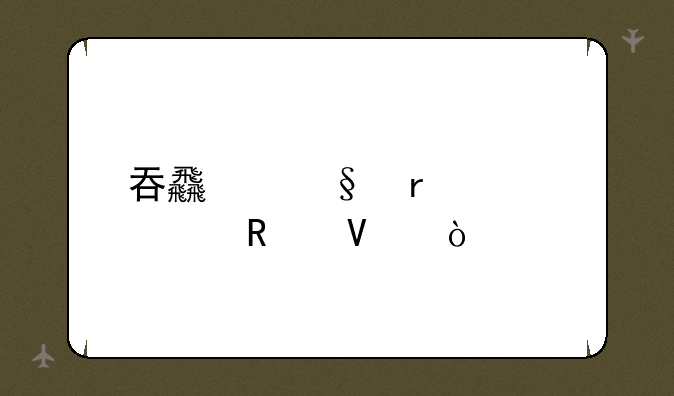 吞食天地详细攻略？