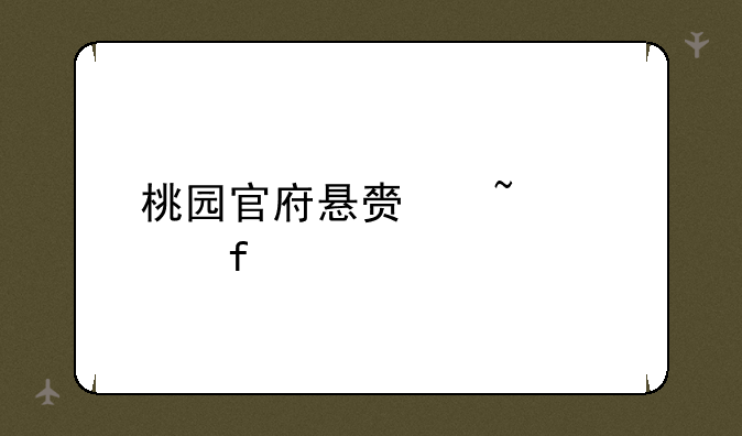 桃园官府悬赏查询器