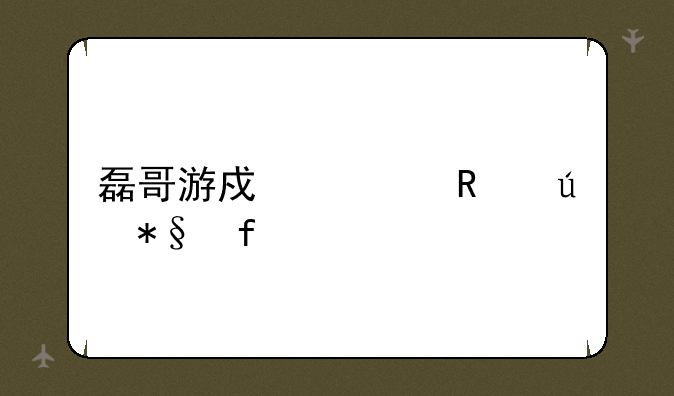 磊哥游戏修改辅助器