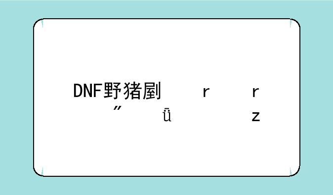 DNF野猪副本机制深度解析
