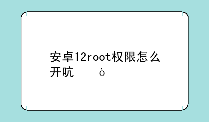 安卓12root权限怎么开启？