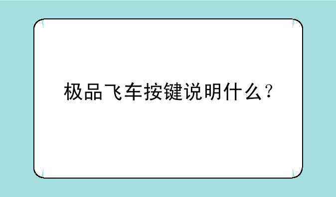 极品飞车按键说明什么？