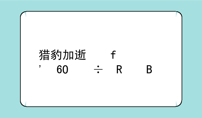 猎豹加速器ios安卓能用吗