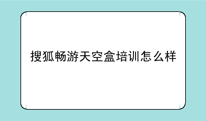 搜狐畅游天空盒培训怎么样