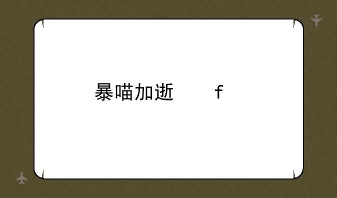 暴喵加速器手机版怎么下载