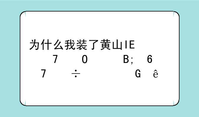 为什么我装了黄山IE修复专家后却不能上网了
