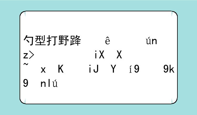 勺型打野路线详解：高效刷野与支援的完美平衡