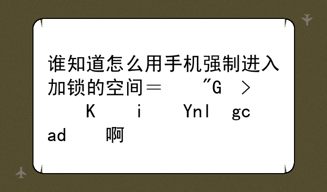 谁知道怎么用手机强制进入加锁的空间？我可不是干坏事啊？