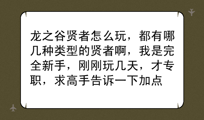 龙之谷贤者怎么玩，都有哪几种类型的贤者啊，我是完全新手，刚刚玩几天，才专职，求高手告诉一下加点