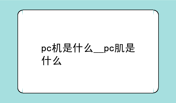 pc机是什么__pc肌是什么