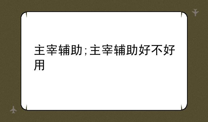 主宰辅助;主宰辅助好不好用