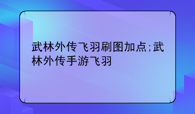 武林外传飞羽刷图加点;武林外传手游飞羽