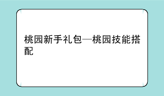 桃园新手礼包—桃园技能搭配