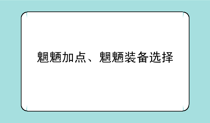 魍魉加点、魍魉装备选择